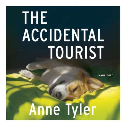Энн Тайлер — Accidental Tourist