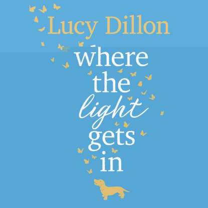 Lucy Dillon - Where The Light Gets In