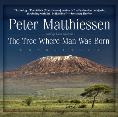 Peter  Matthiessen - Tree Where Man Was Born