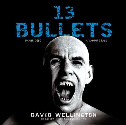 David Wellington — 13 Bullets