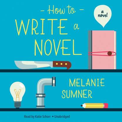 

How to Write a Novel