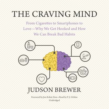 Judson Brewer - Craving Mind