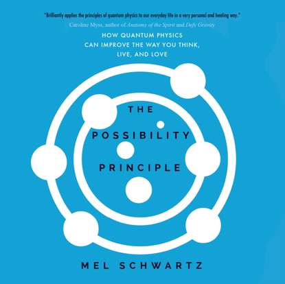 Mel Schwartz - Possibility Principle