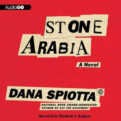 Dana  Spiotta - Stone Arabia