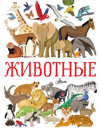 Илария Барсотти - Животные