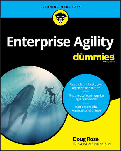 Группа авторов - Enterprise Agility For Dummies
