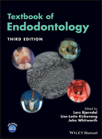 Lise-Lotte  Kirkevang - Textbook of Endodontology