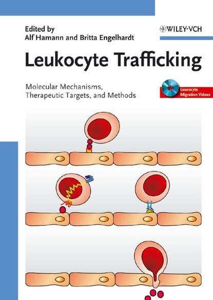 Alf  Hamann - Leukocyte Trafficking