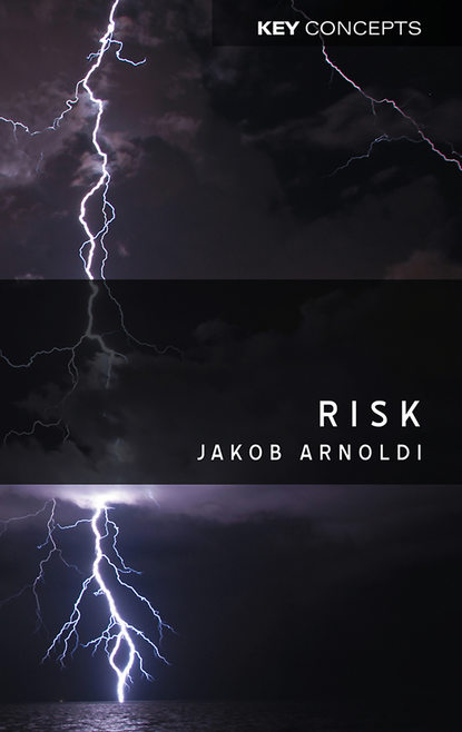 Risk - Группа авторов