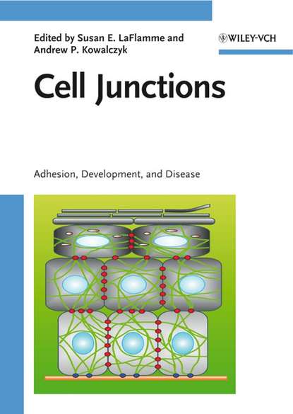 Cell Junctions