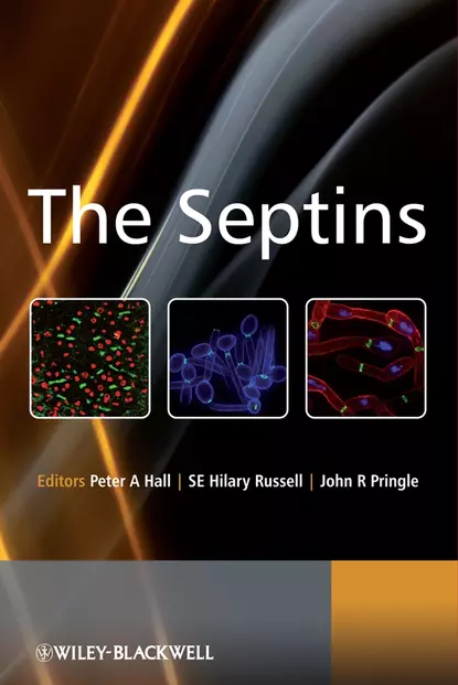 Обложка книги The Septins, Peter A. Hall