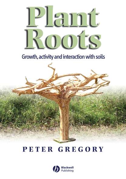 Peter Gregory J. - Plant Roots