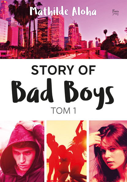 

Story of Bad Boys 1