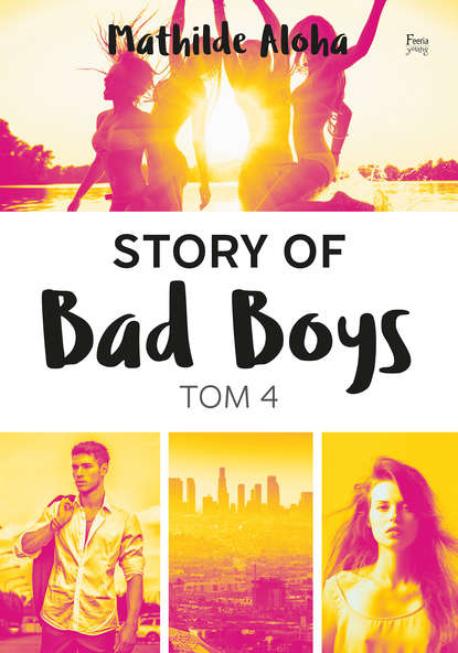 

Story of Bad Boys 4