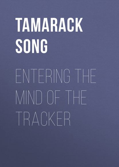 Tamarack Song — Entering the Mind of the Tracker