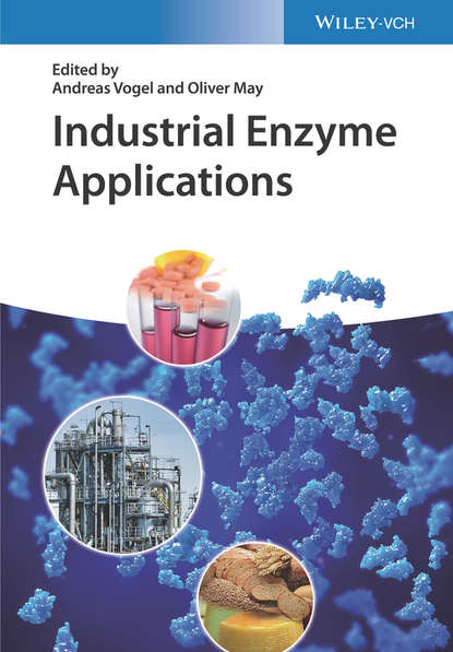 Группа авторов - Industrial Enzyme Applications