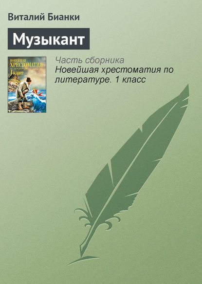 

Музыкант