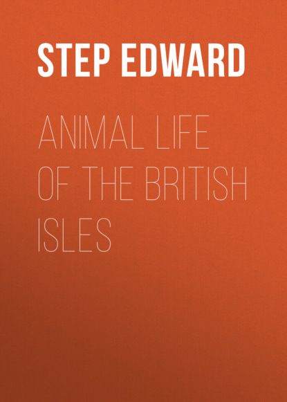 

Animal Life of the British Isles