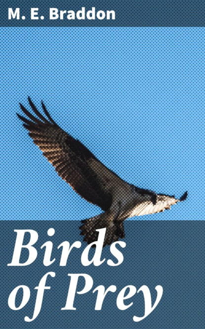 

Birds of Prey