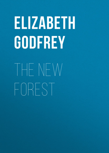 

The New Forest
