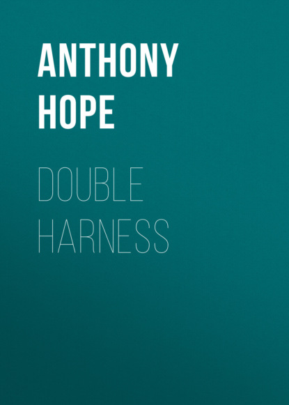 

Double Harness