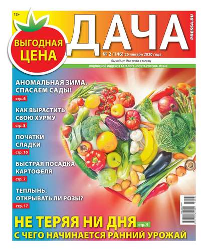 

Дача Pressa.ru 02-2020