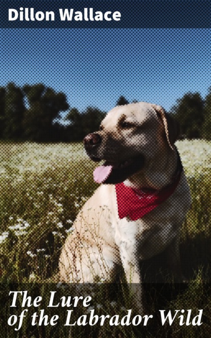 Dillon Wallace - The Lure of the Labrador Wild