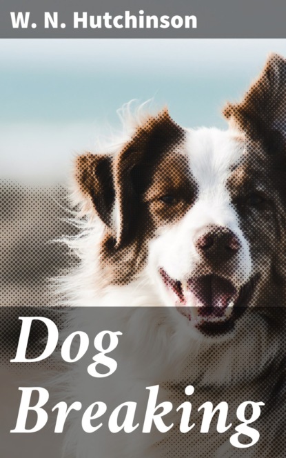 

Dog Breaking