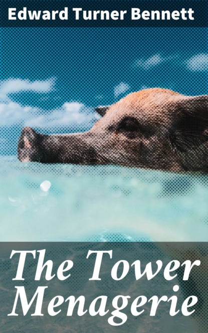 

The Tower Menagerie