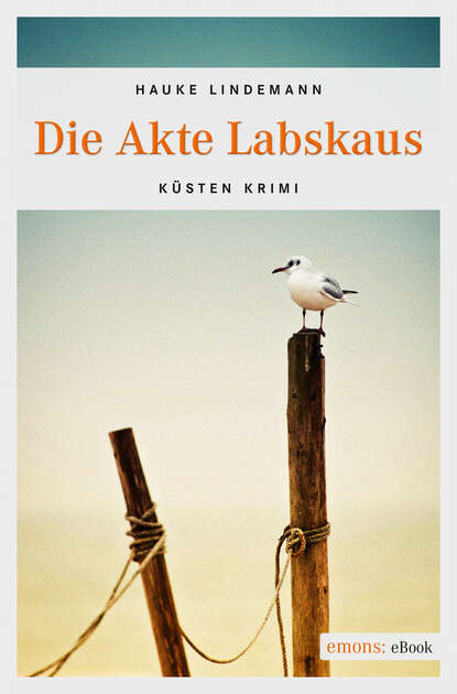 Hauke  Lindemann - Die Akte Labskaus