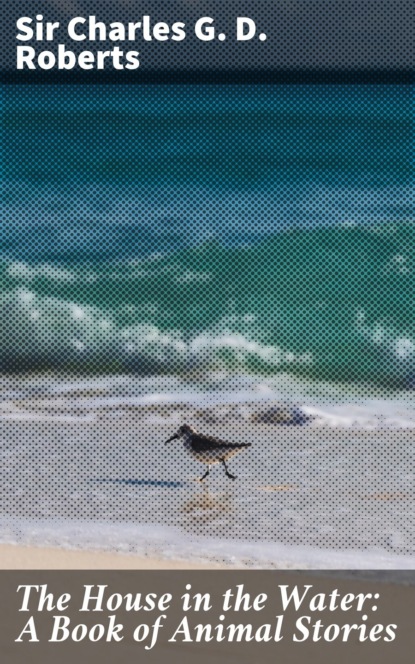 

The House in the Water: A Book of Animal Stories
