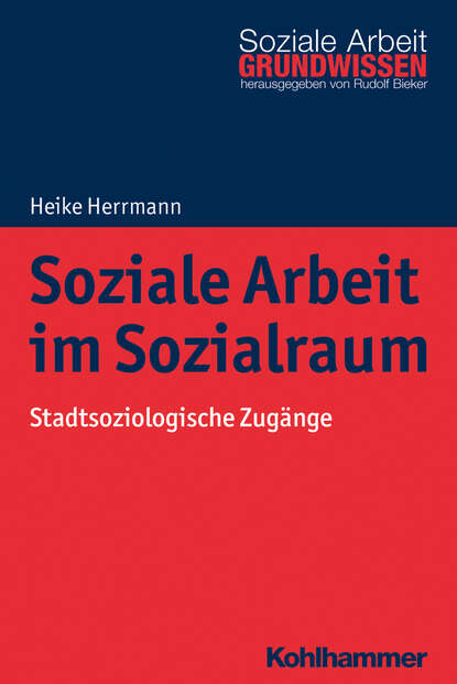 

Soziale Arbeit im Sozialraum