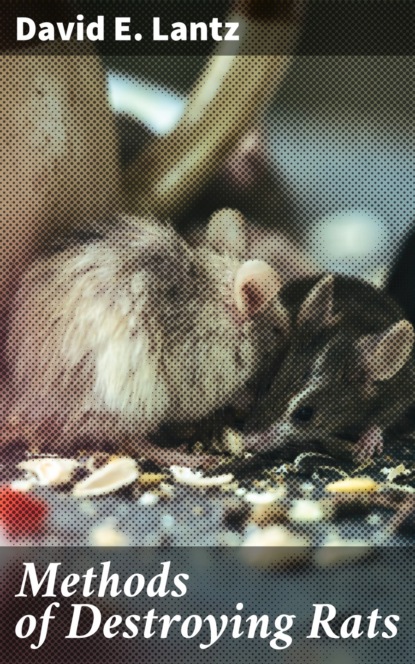 

Methods of Destroying Rats
