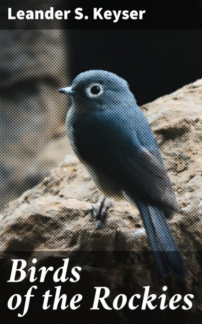 

Birds of the Rockies