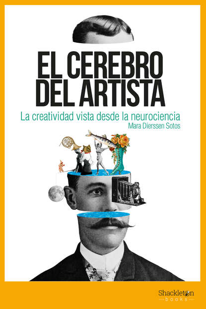 Mara Dierssen Sotos - El cerebro del artista