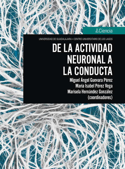 

De la actividad neuronal a la conducta