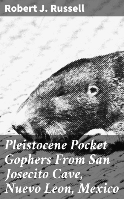 

Pleistocene Pocket Gophers From San Josecito Cave, Nuevo Leon, Mexico