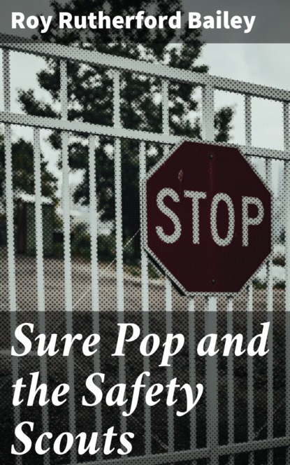 

Sure Pop and the Safety Scouts