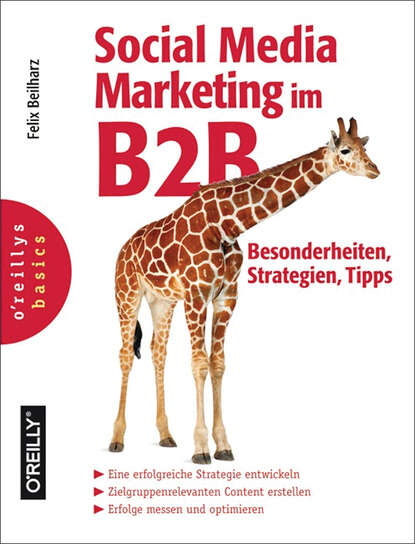 Felix  Beilharz - Social Media Marketing im B2B - Besonderheiten, Strategien, Tipps