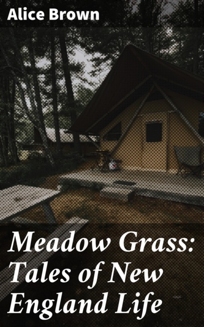 

Meadow Grass: Tales of New England Life