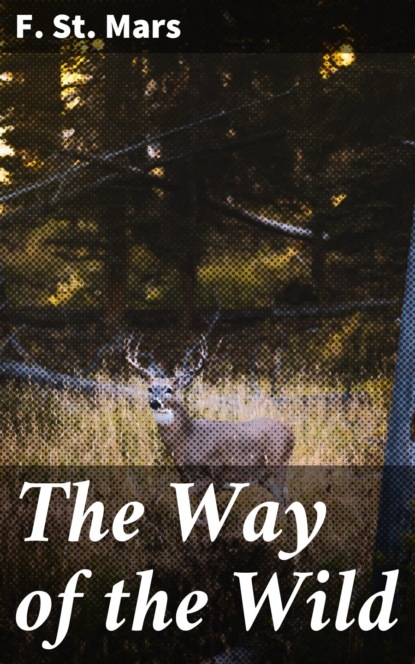 

The Way of the Wild