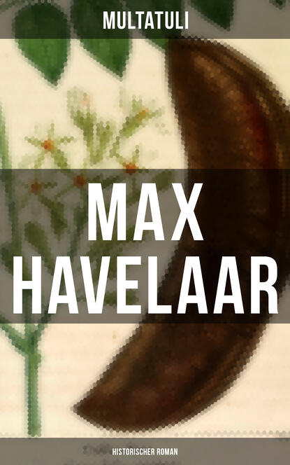 

Max Havelaar (Historischer Roman)