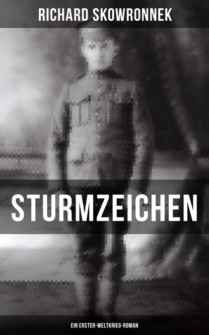 

Sturmzeichen (Ein Erster-Weltkrieg-Roman)