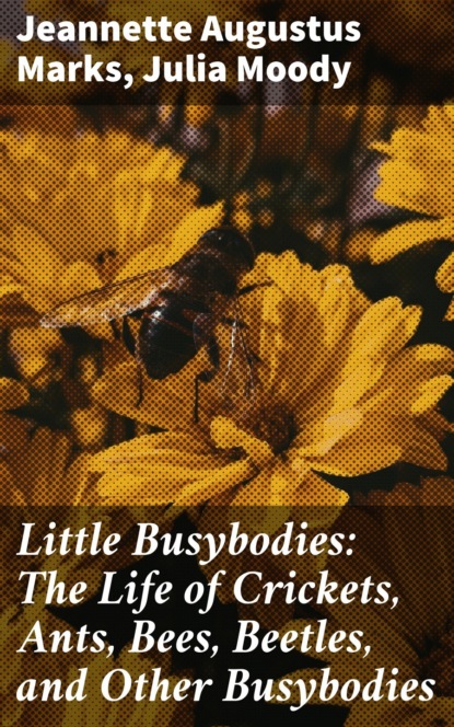 Julia Moody - Little Busybodies: The Life of Crickets, Ants, Bees, Beetles, and Other Busybodies