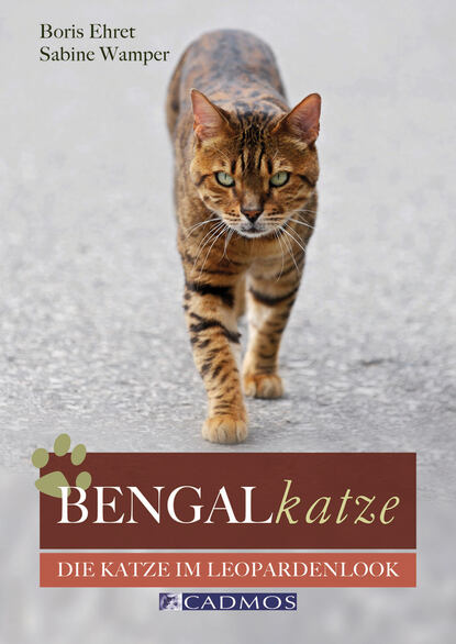 Boris  Ehret - Bengalkatze