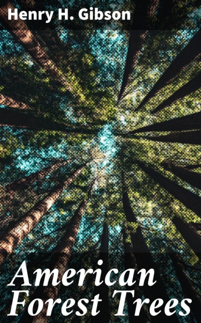 

American Forest Trees