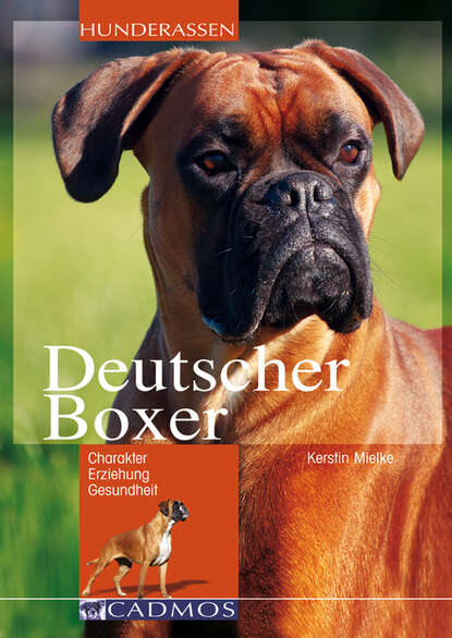 Kerstin  Mielke - Deutscher Boxer