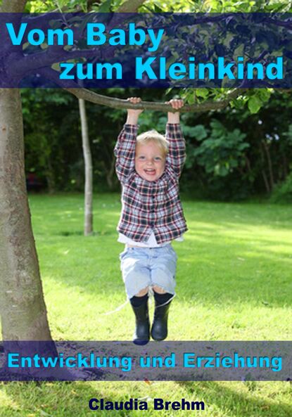 Vom Baby zum Kleinkind - Entwicklung und Erziehung (Claudia Brehm). 