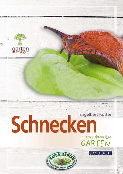 Schnecken (Engelbert Kötter). 