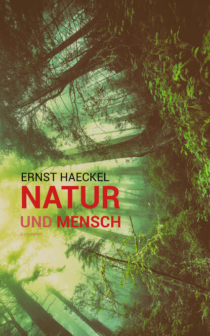 Ernst  Haeckel - Natur und Mensch (Illustriert)